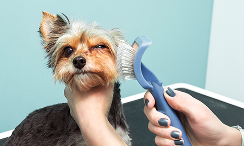 공지사항이미지1