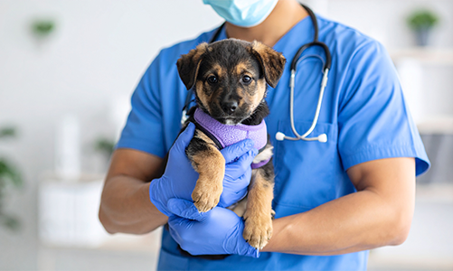 공지사항이미지3