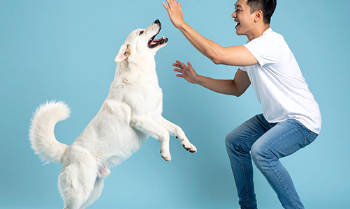 공지사항이미지1